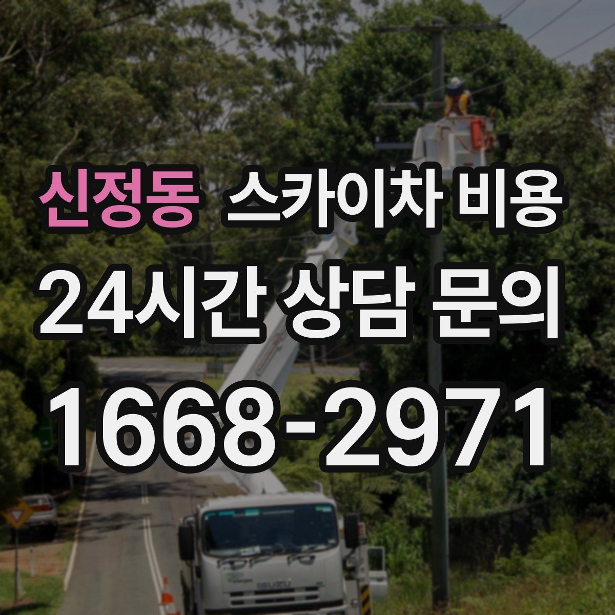 신정동 스카이차 비용