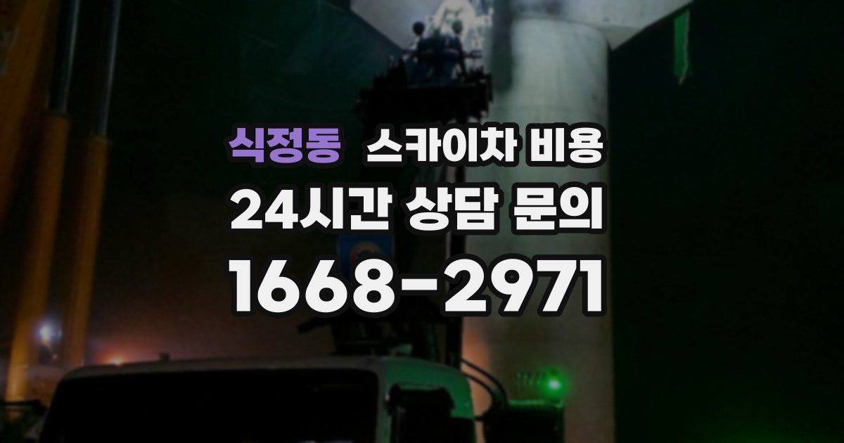 식정동 스카이차 비용