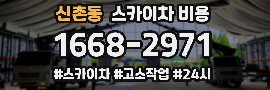 신촌동 스카이차 비용