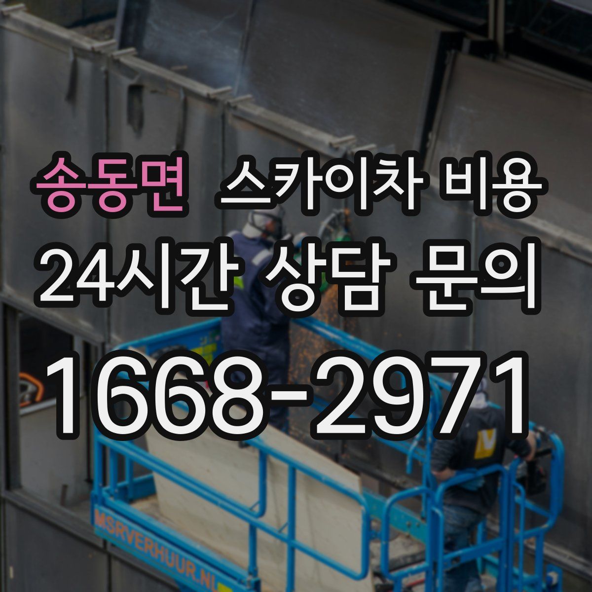 송동면 스카이차 비용