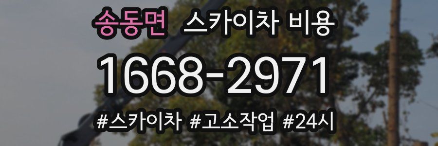 송동면 스카이차 비용