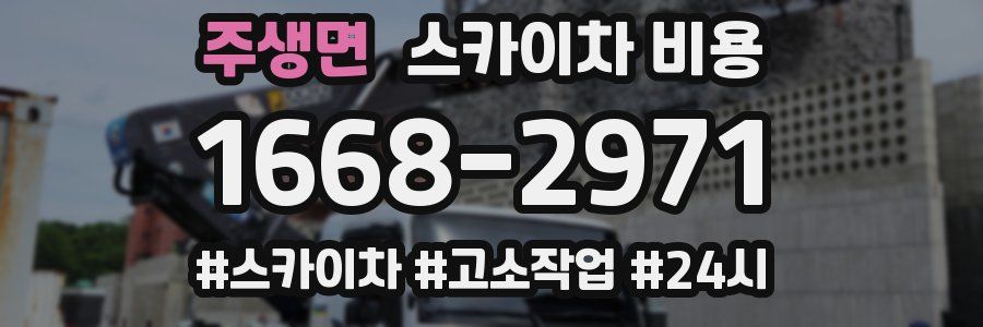 주생면 스카이차 비용