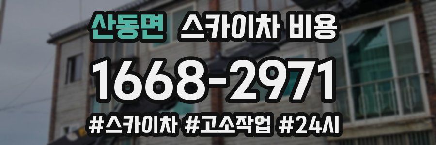 산동면 스카이차 비용