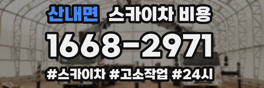 산내면 스카이차 비용