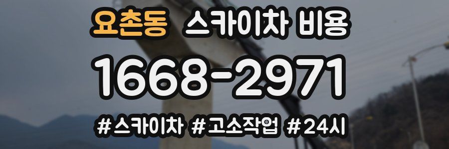 요촌동 스카이차 비용