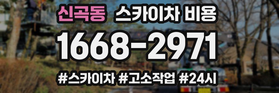 신곡동 스카이차 비용