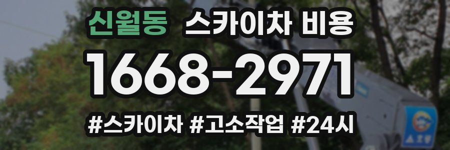 신월동 스카이차 비용