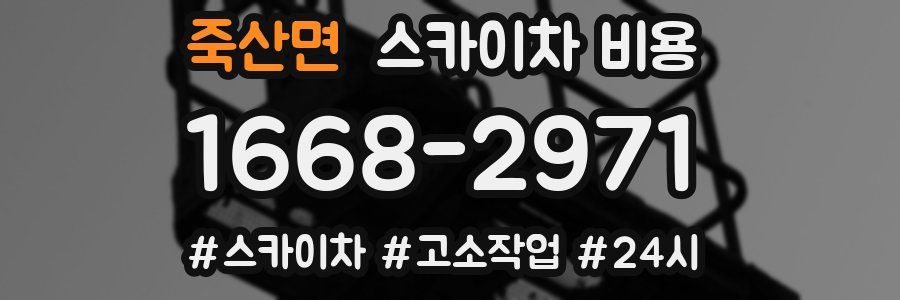 죽산면 스카이차 비용