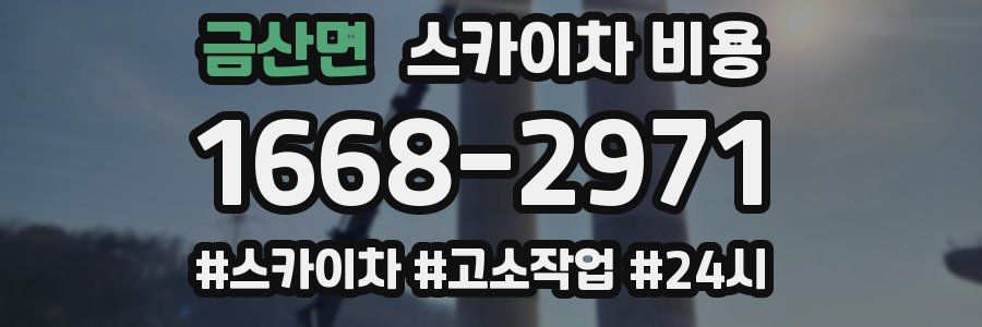 금산면 스카이차 비용