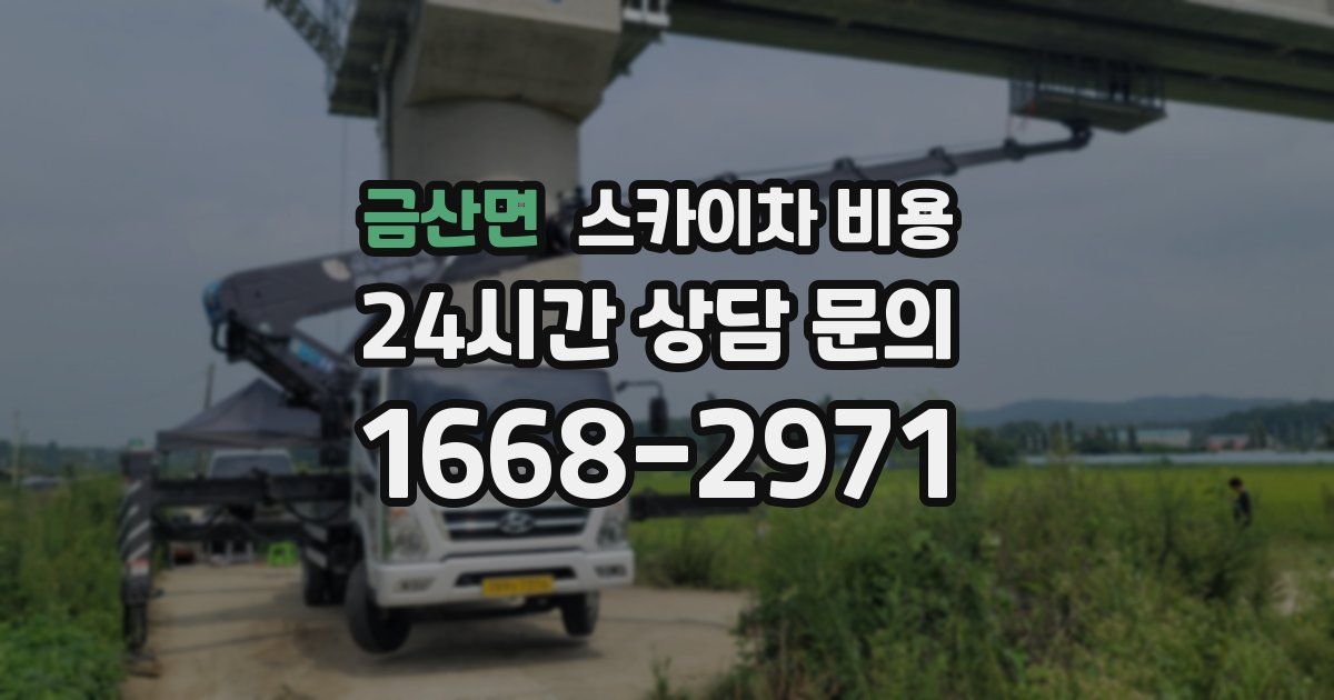 금산면 스카이차 비용