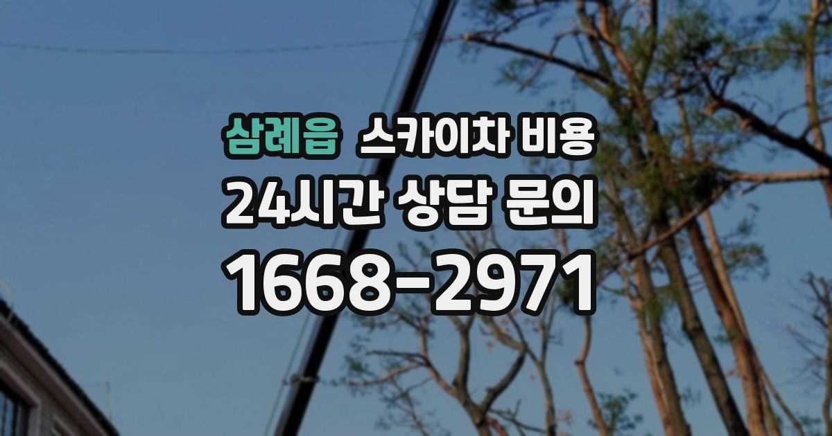 삼례읍 스카이차 비용