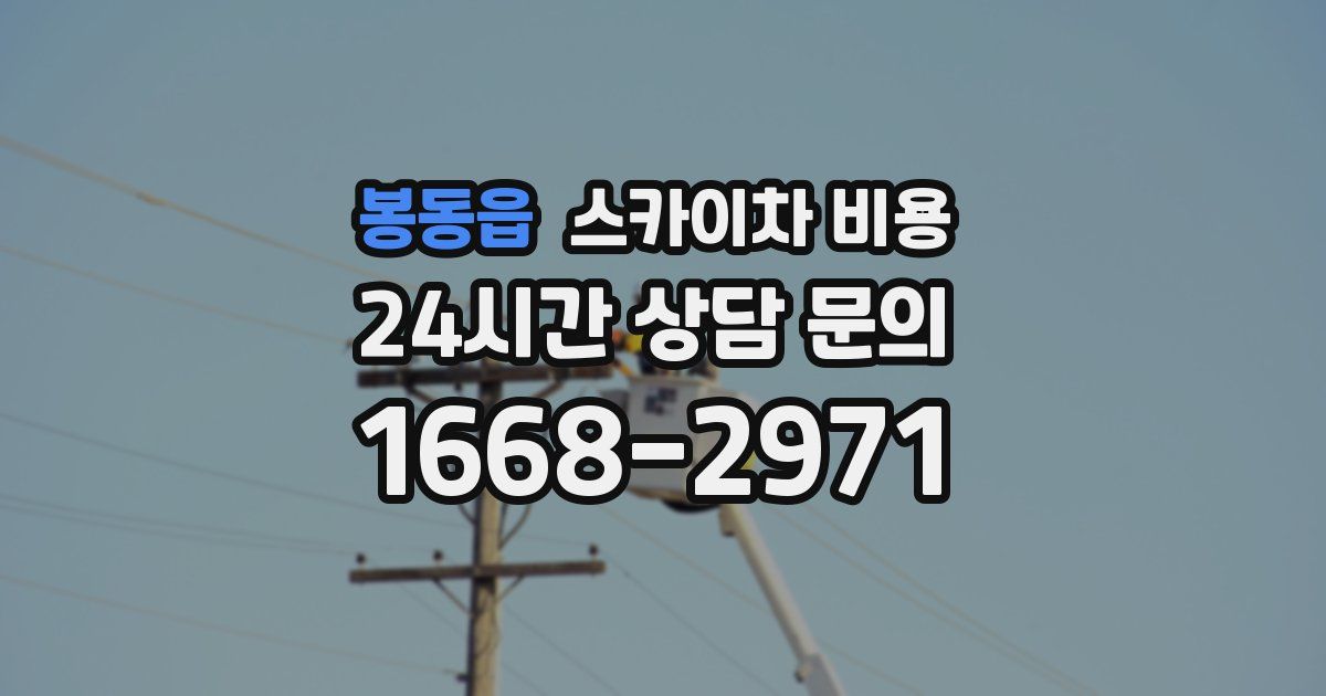 봉동읍 스카이차 비용