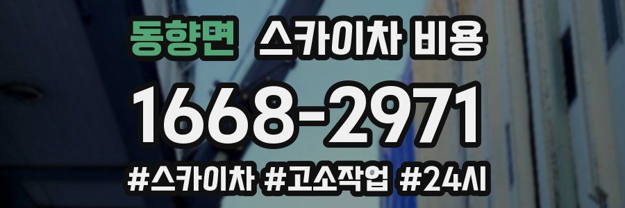 동향면 스카이차 비용