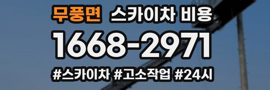 무풍면 스카이차 비용