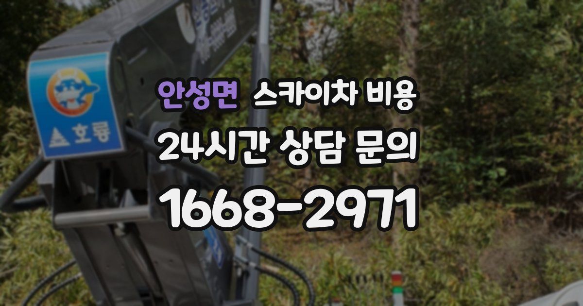 안성면 스카이차 비용