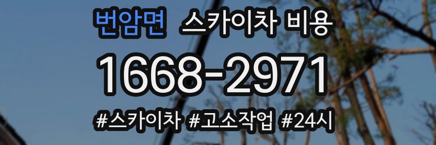 번암면 스카이차 비용