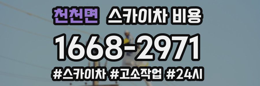 천천면 스카이차 비용