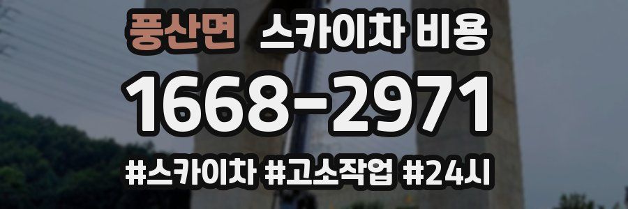 풍산면 스카이차 비용