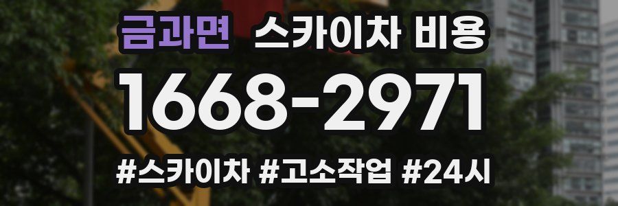 금과면 스카이차 비용