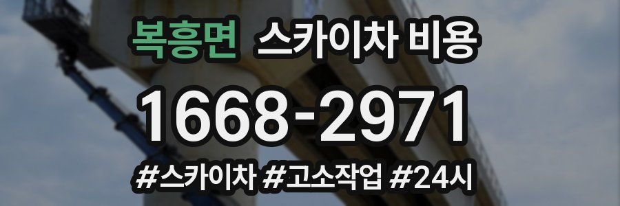 복흥면 스카이차 비용