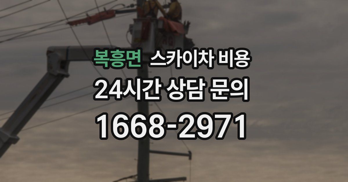 복흥면 스카이차 비용