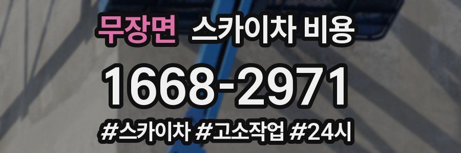무장면 스카이차 비용