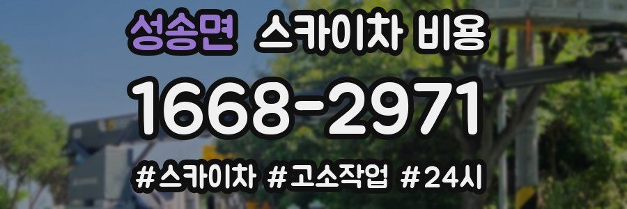 성송면 스카이차 비용