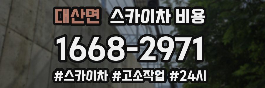 대산면 스카이차 비용