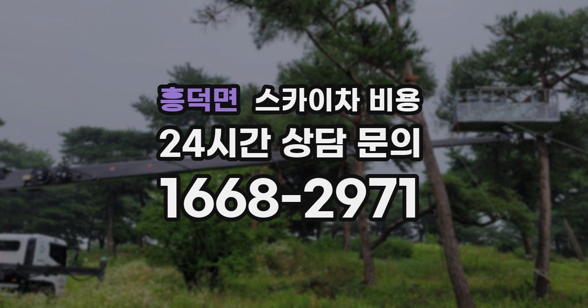 흥덕면 스카이차 비용