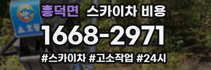 흥덕면 스카이차 비용