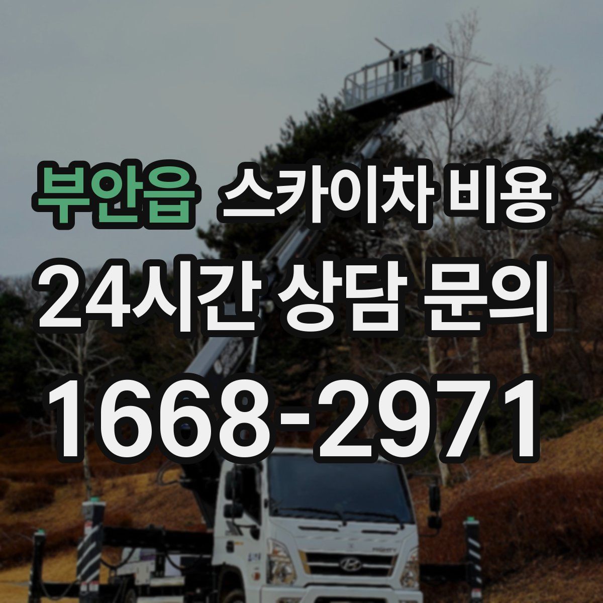 부안읍 스카이차 비용