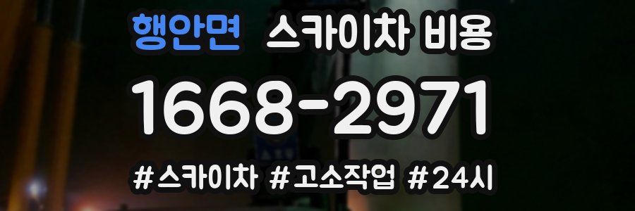 행안면 스카이차 비용