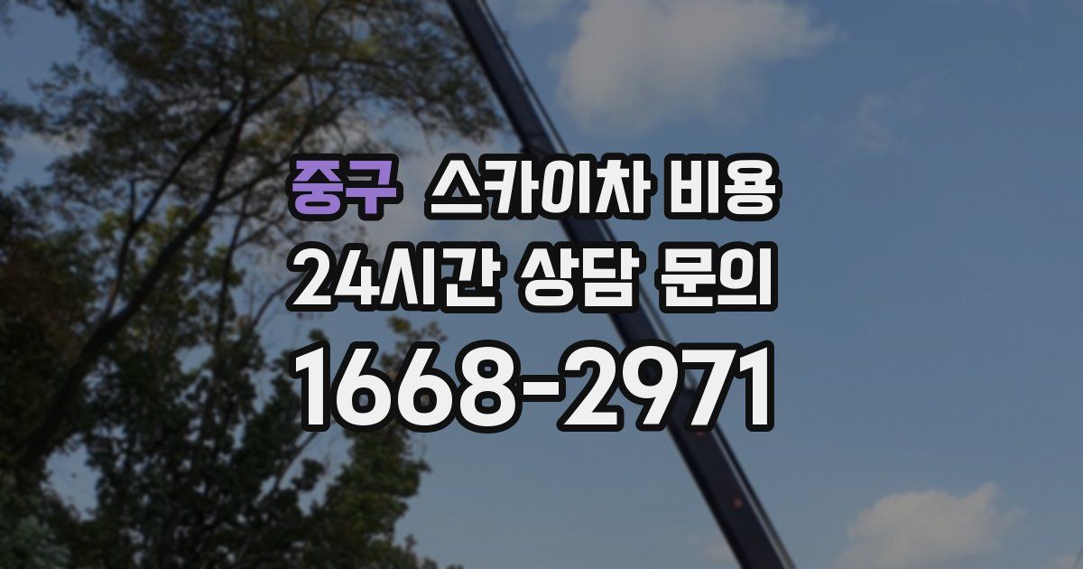 중구 스카이차 비용