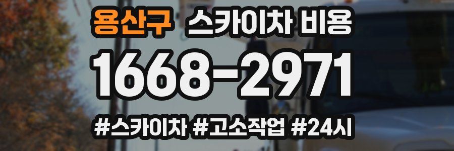 용산구 스카이차 비용