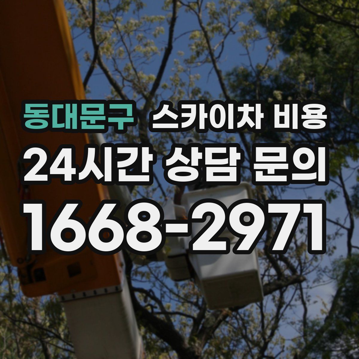 동대문구 스카이차 비용