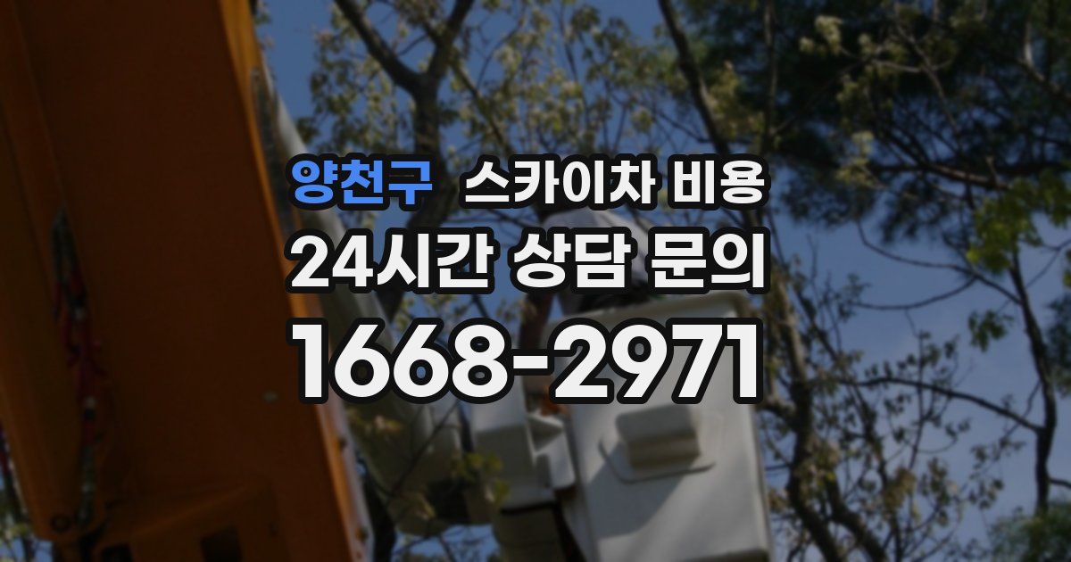 양천구 스카이차 비용