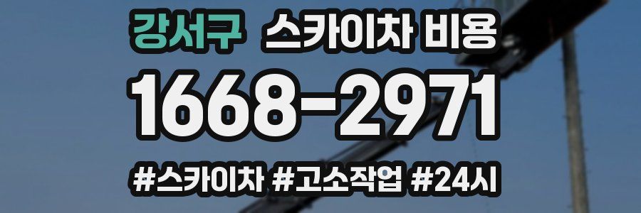 강서구 스카이차 비용