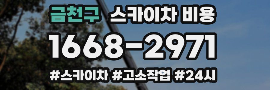 금천구 스카이차 비용