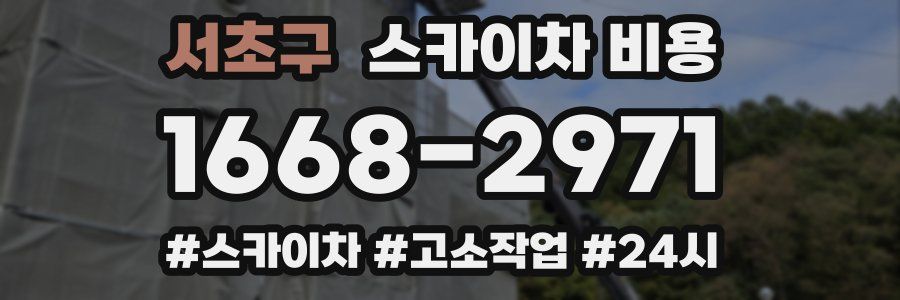 서초구 스카이차 비용