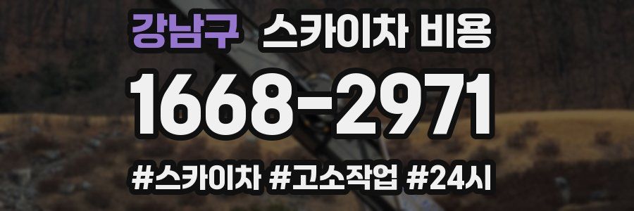 강남구 스카이차 비용