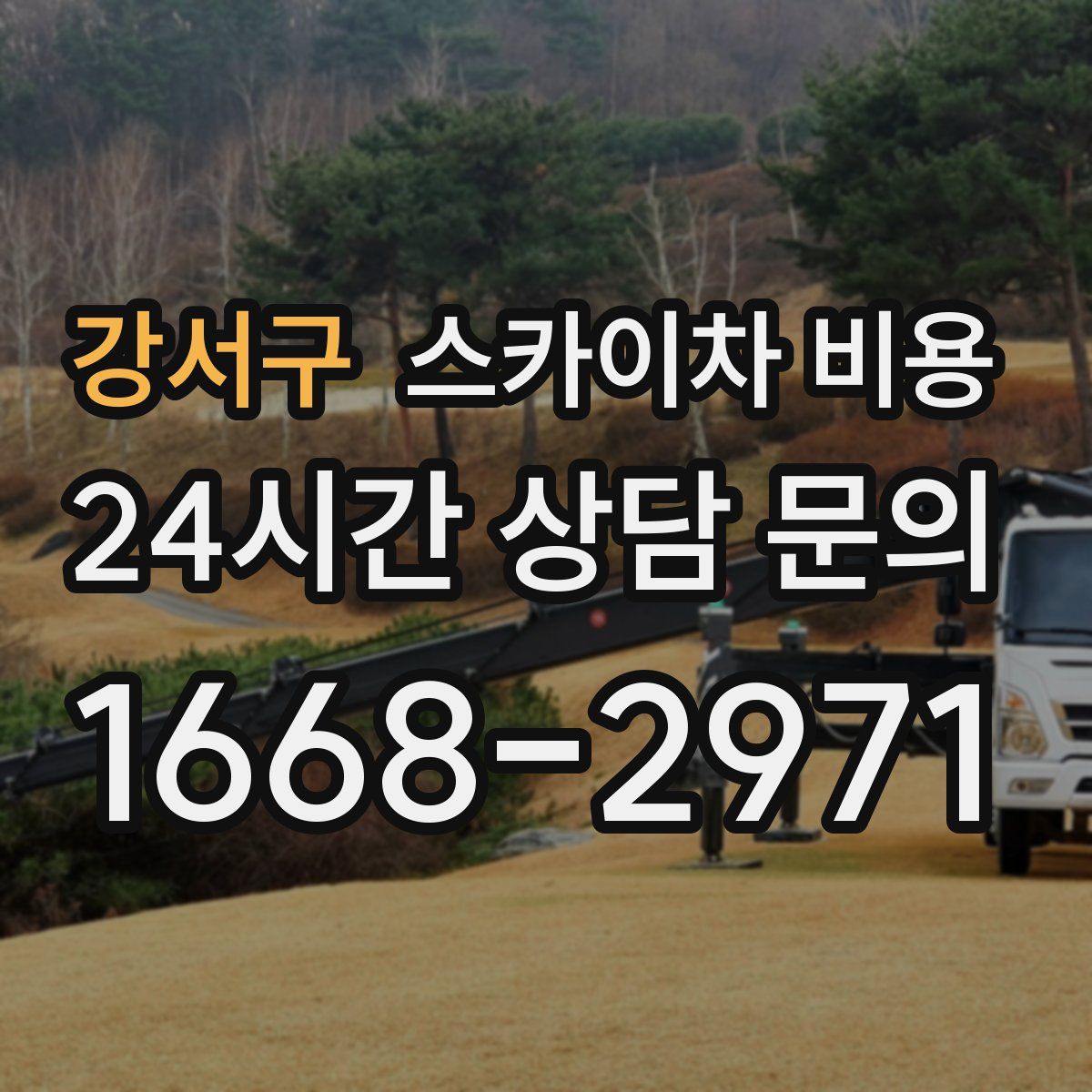 강서구 스카이차 비용