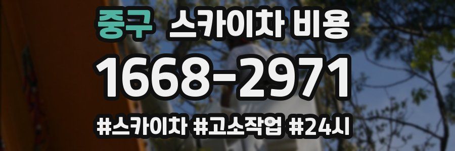 중구 스카이차 비용