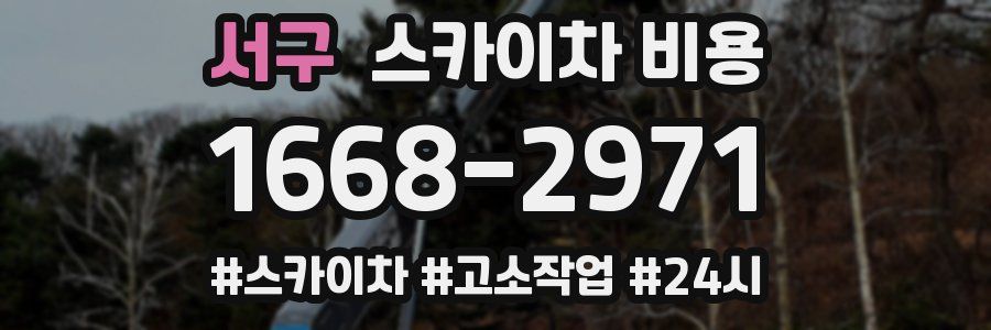 서구 스카이차 비용
