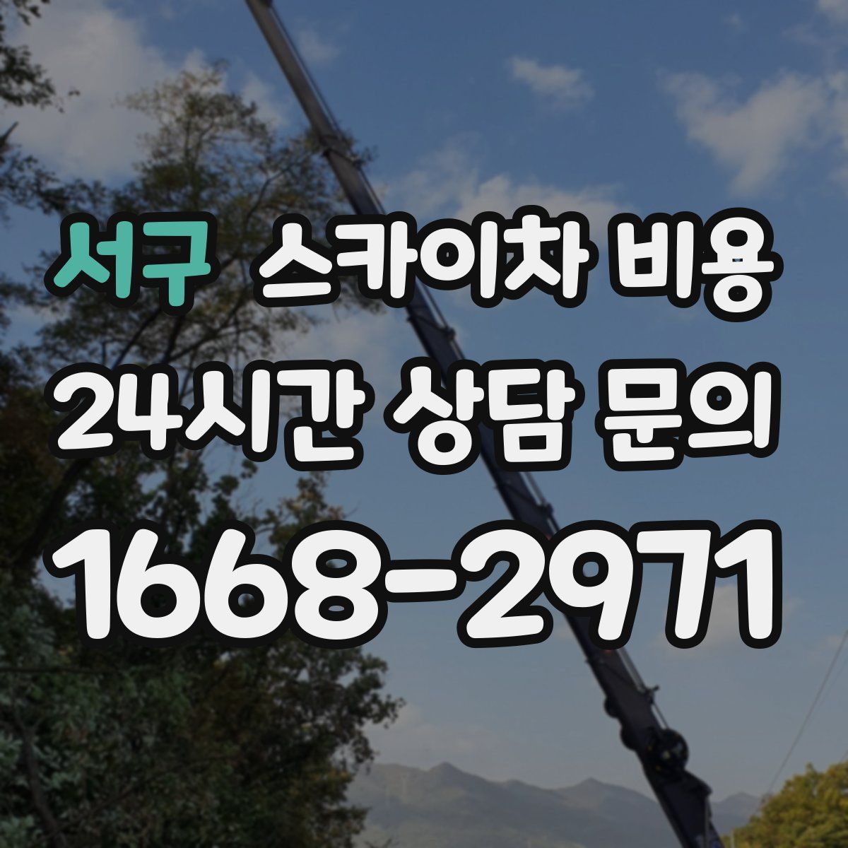 서구 스카이차 비용