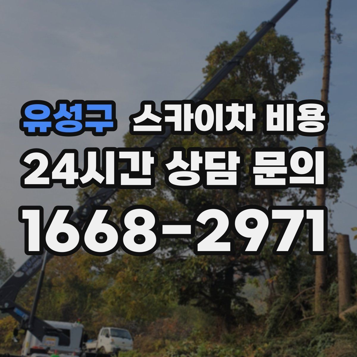유성구 스카이차 비용 급한 작업일수록 정보가 정확해야 합니다