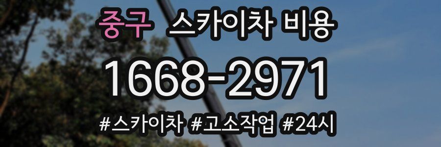 중구 스카이차 비용