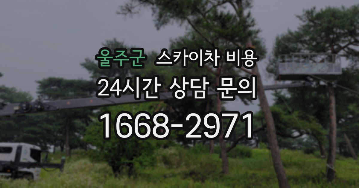 울주군 스카이차 비용