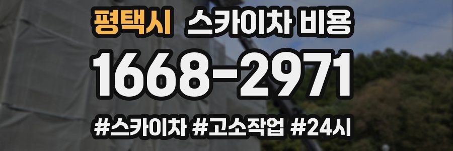 평택시 스카이차 비용