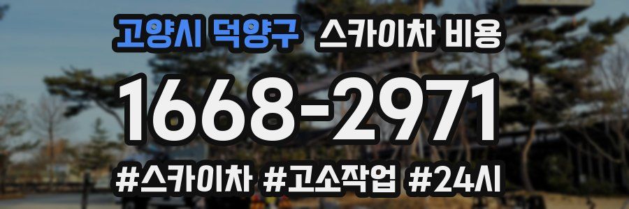 고양시 덕양구 스카이차 비용