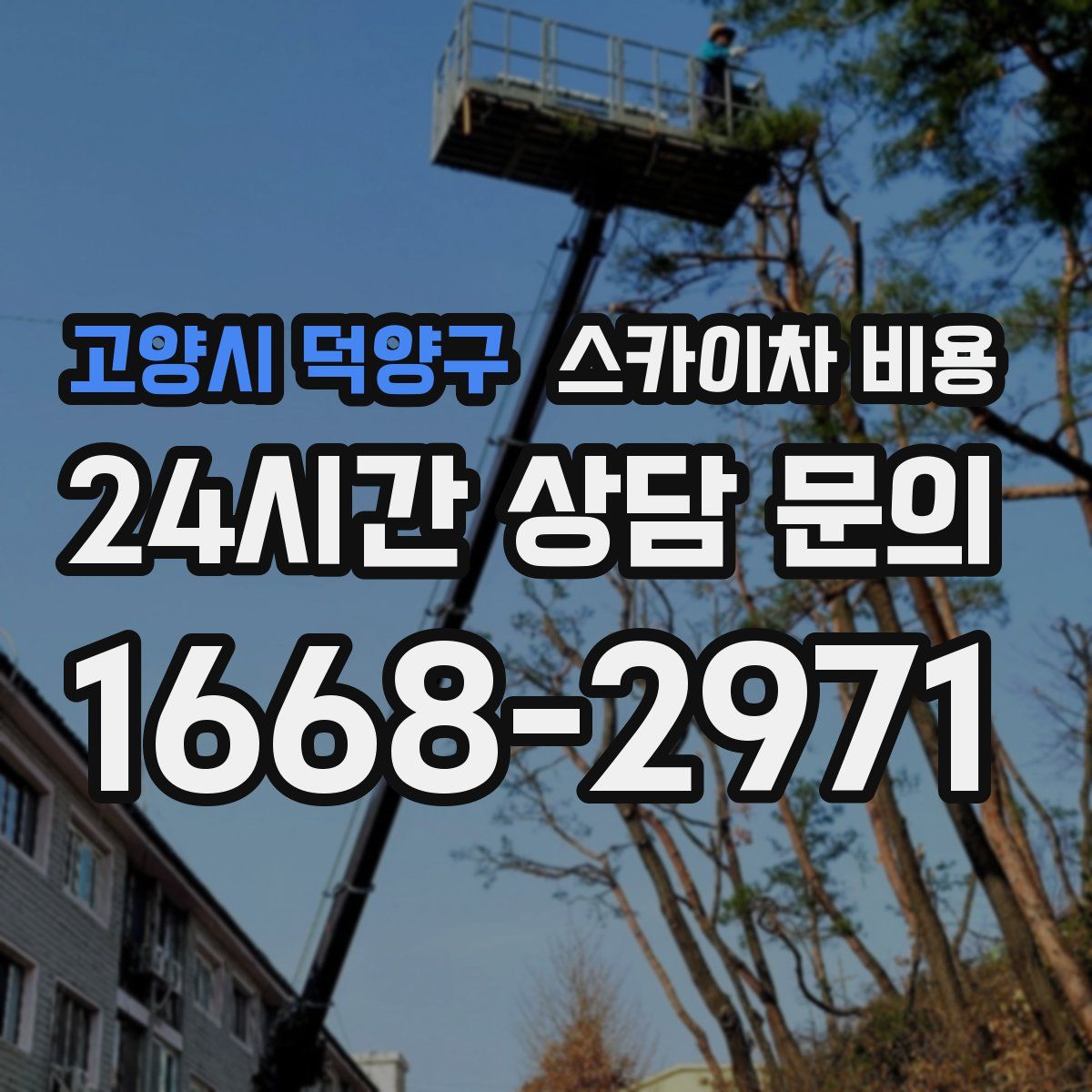 고양시 덕양구 스카이차 비용